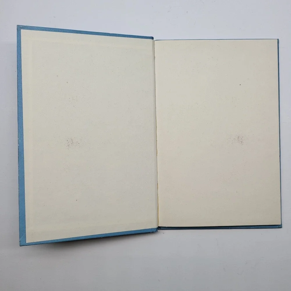Willie The Squowse By Ted Allan, 1978 Vintage, Illustrated By‎ Quentin Blake